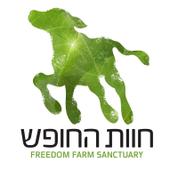 לוגו (3)